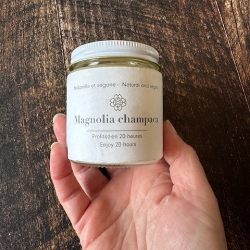 Chandelle 20 heure magnolia dans une main