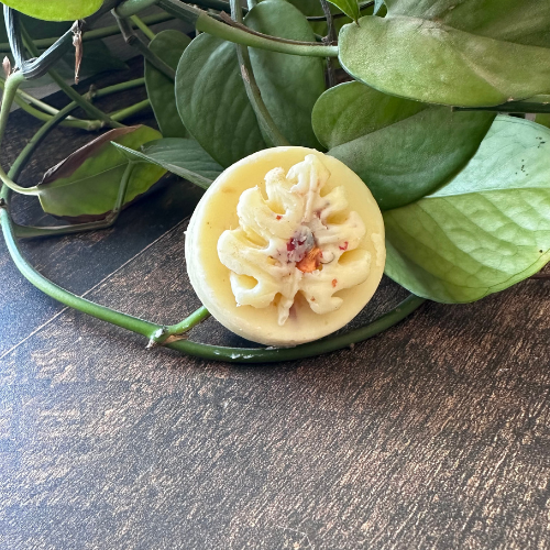 barre solide pour massage et hydratation de la peau accoté sur des feuilles de plante verte.