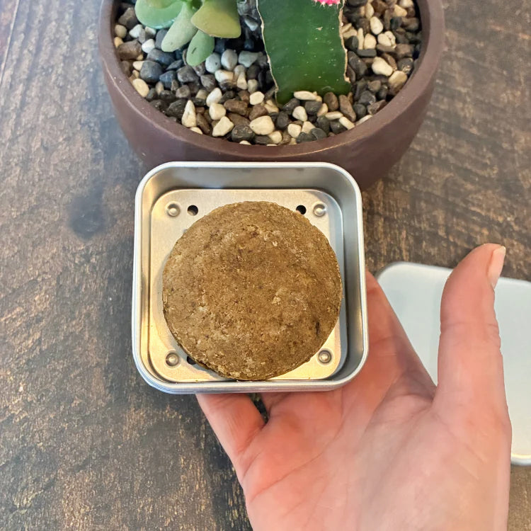 Boitier de métal carré en aluminium avec un shampoing solide brun tenu dans une main. ArriÚre plan d'une planche en bois et d'une plante succulente.
