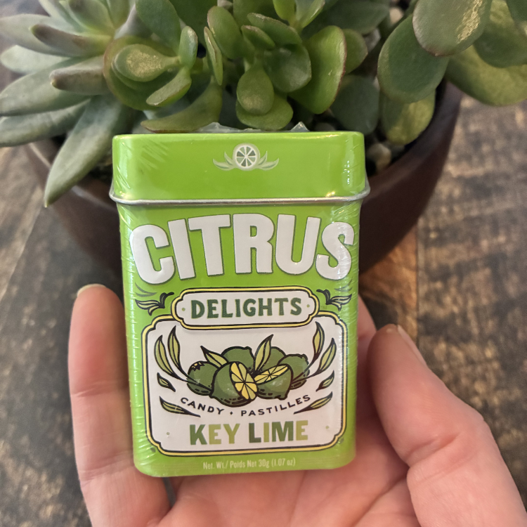 Boitier en métal pour bonbon couleur verte pour la saveur key lime avec une plante en arrière et tenu dans une main