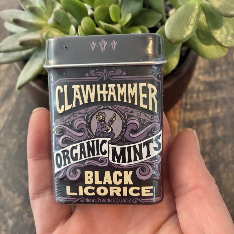 Boitier en métal pour bonbon couleur nuit pour la saveur licorice avec une plante en arrière et tenu dans une main