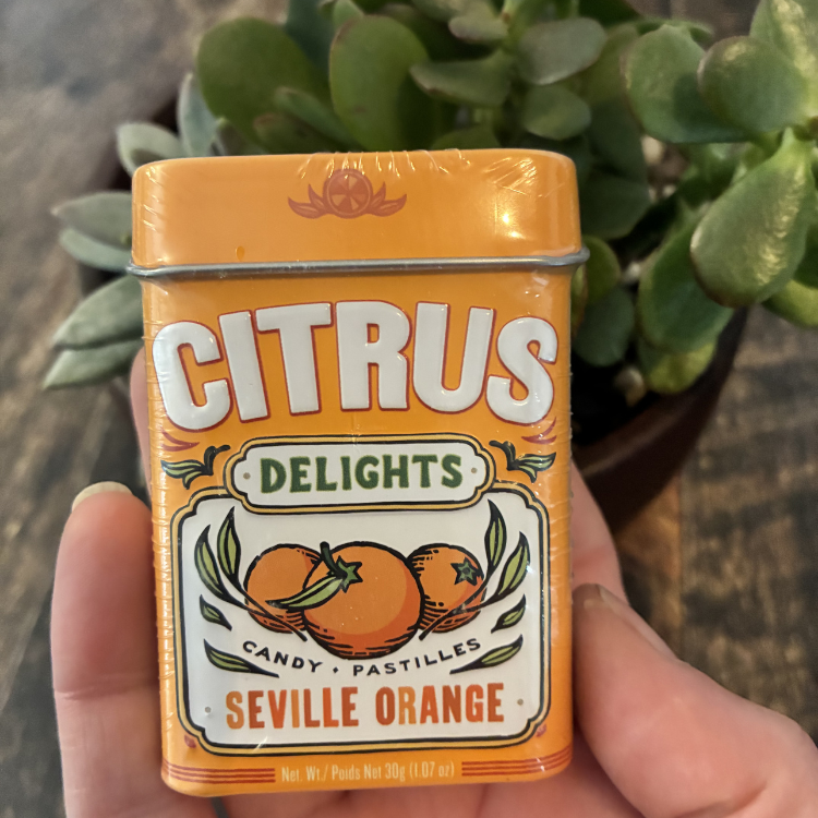 Boitier en métal pour bonbon couleur orange pour la saveur orange séville avec une plante en arrière et tenu dans une main