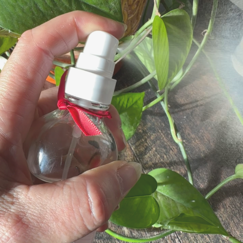 Brume d'ambiance naturelle tenu dans une main et vaporisé près d'une plante