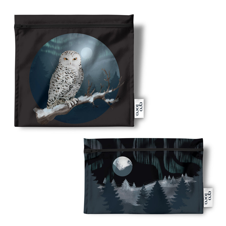 Eco-friendly reusable lunch bag duo for lunches