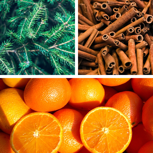 Fondant de cire: sapin, cannelle et orange. Fondant de Noël