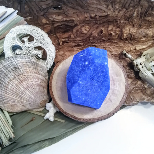 el douche zéro déchet Pin & Bleuet sauvage – nettoie et nourrit sans assécher