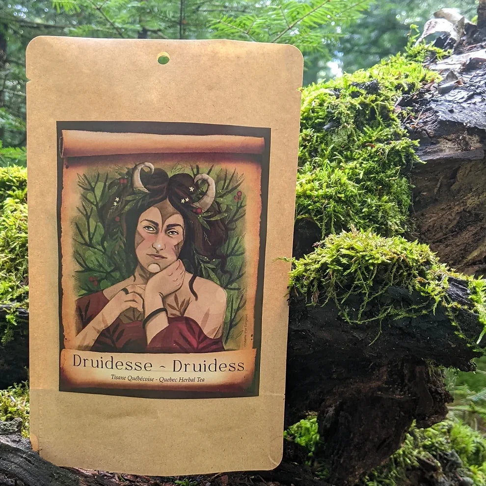 Tisane forêt boréale