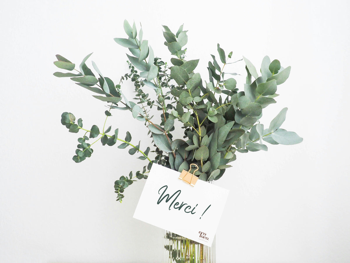 Bouquet de feuilles d'eucalyptus sur fond blanc avec une affichette qui dit Merci ainsi que le logo de Eco Loco