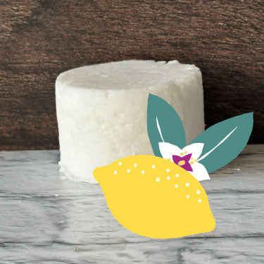 bloc de recharge sans contenant de savon à laver la vaisselle solide blanc avec une image vectorielle de citron jaune avec des feuilles vertes et une fleur blanche fond de bois