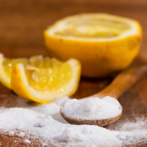 essentiel - milieu de vie