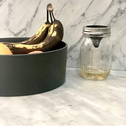 Fly trap for Mason jar Eco Loco