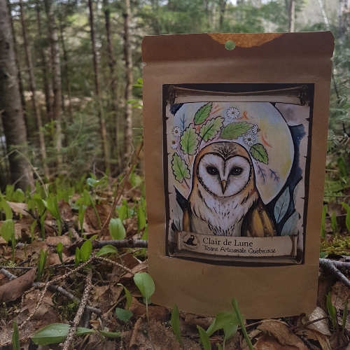 TIsane de la forêt boréale avec une image de harfang