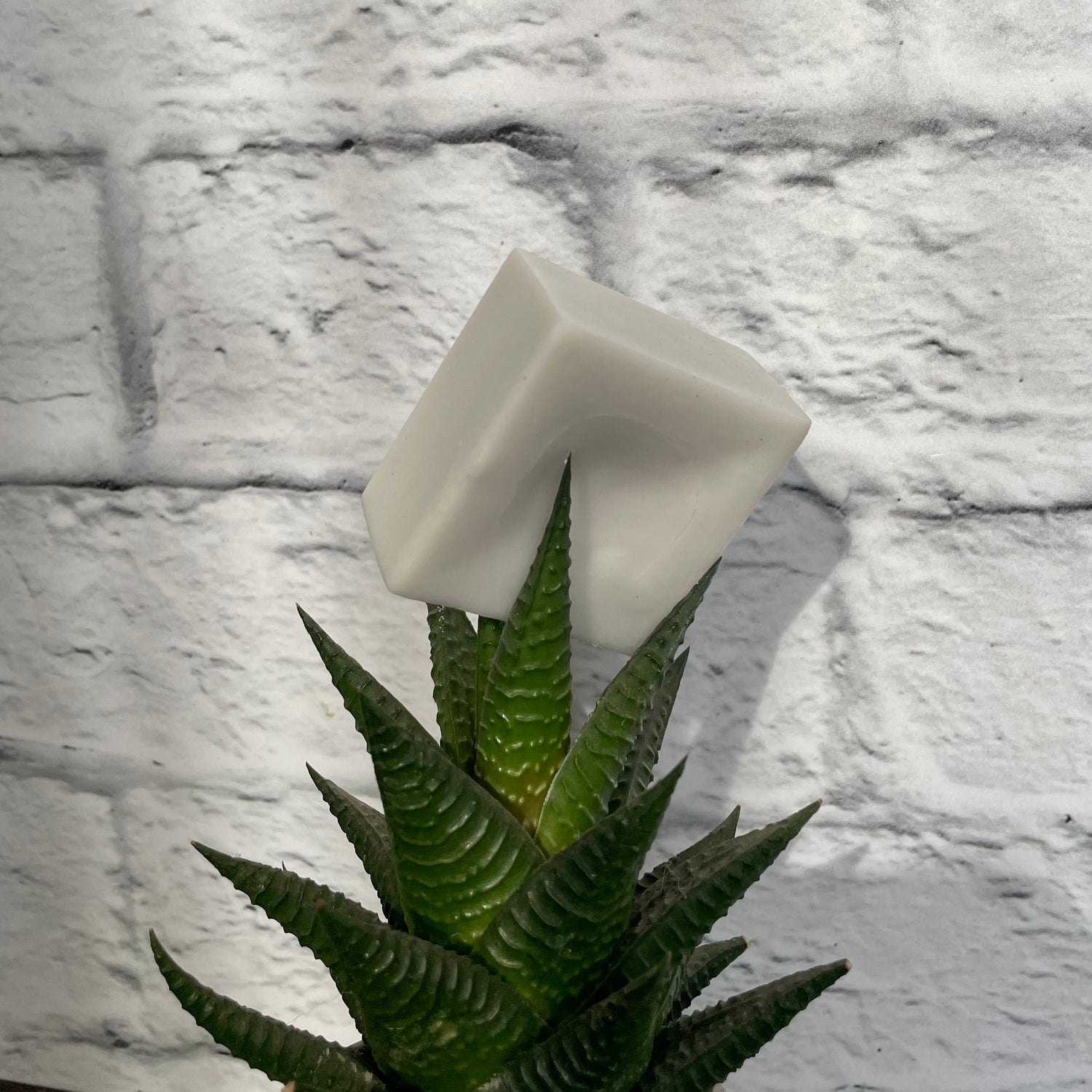 revitalisant fait au Québec