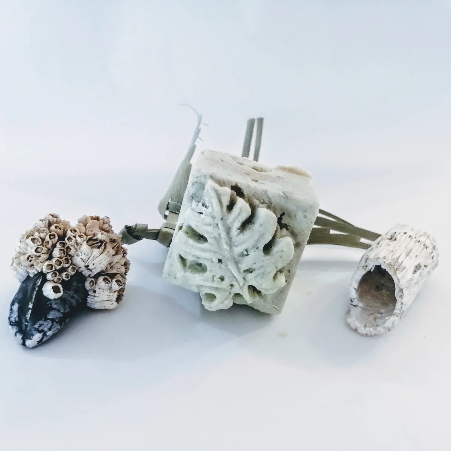 nettoyant visage zéro déchet