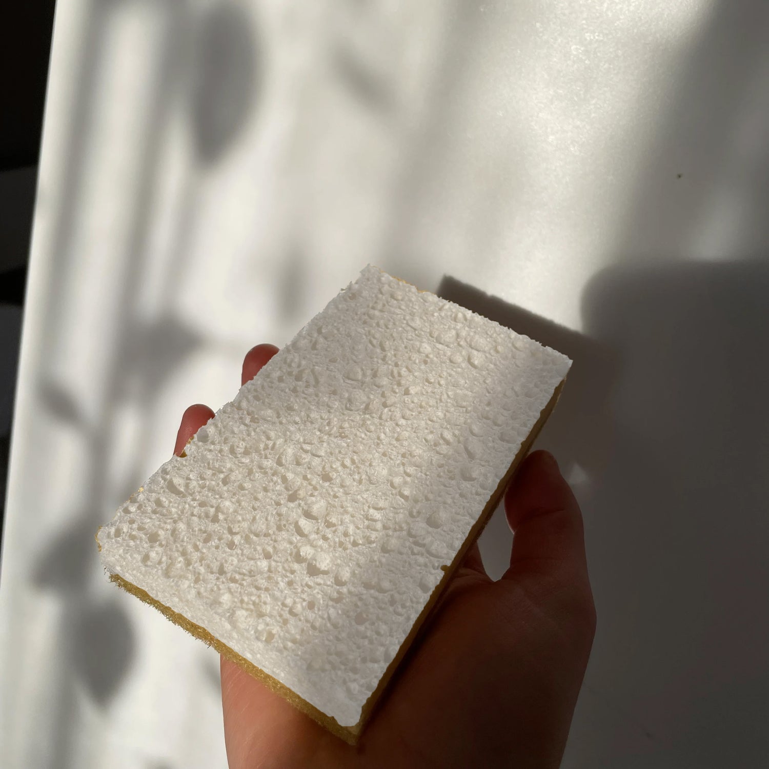 éponge récurante 100% naturel