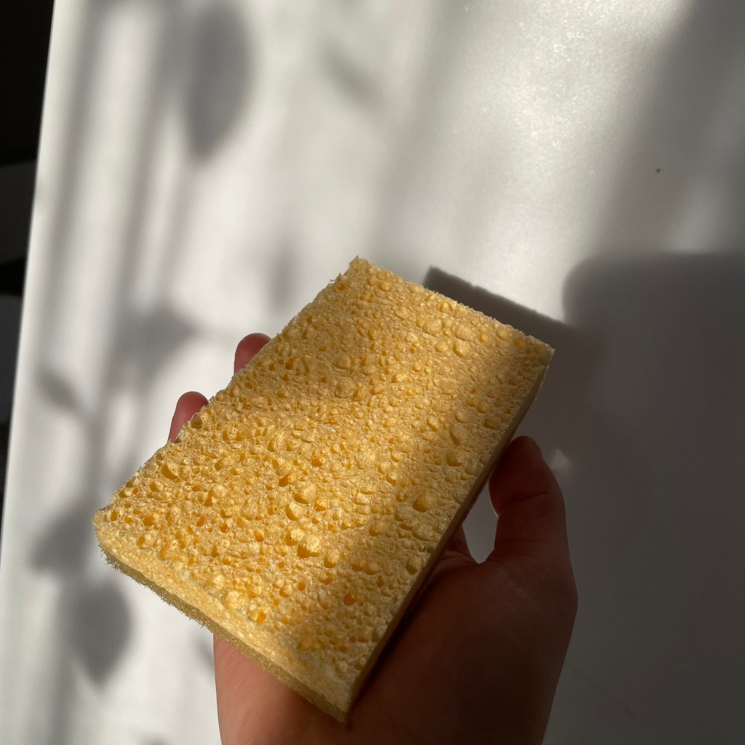 éponge récurante 100% naturel