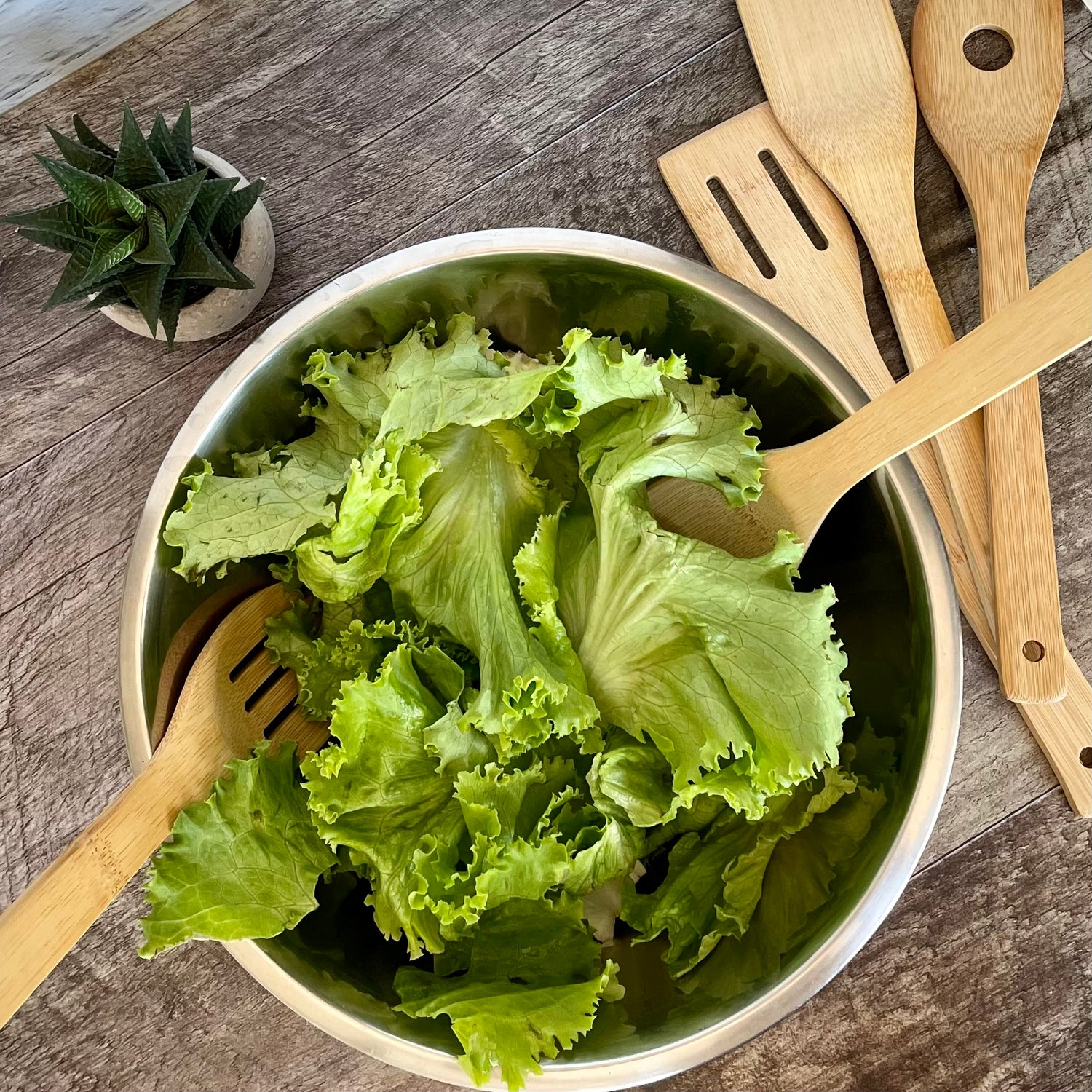 spatules sans plastique