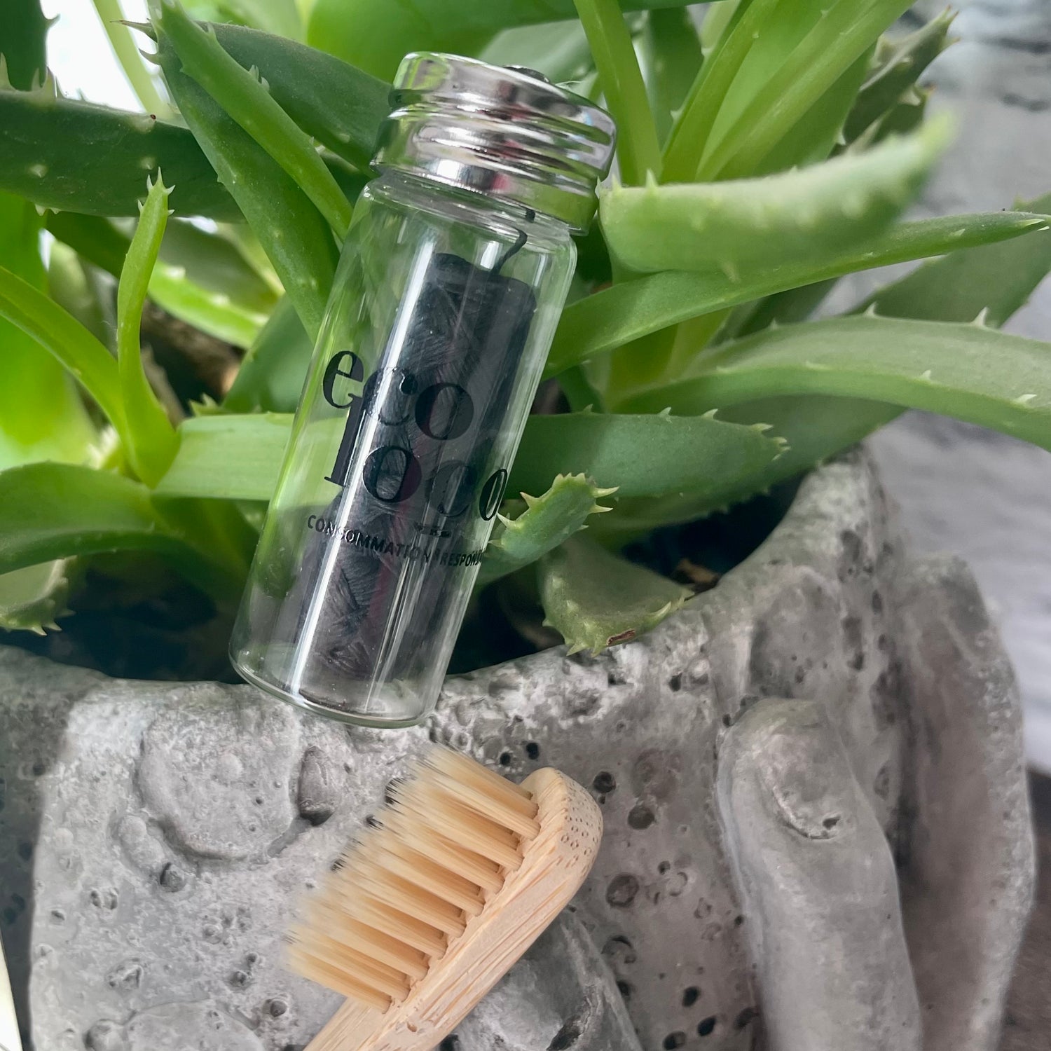 soie dentaire compostable