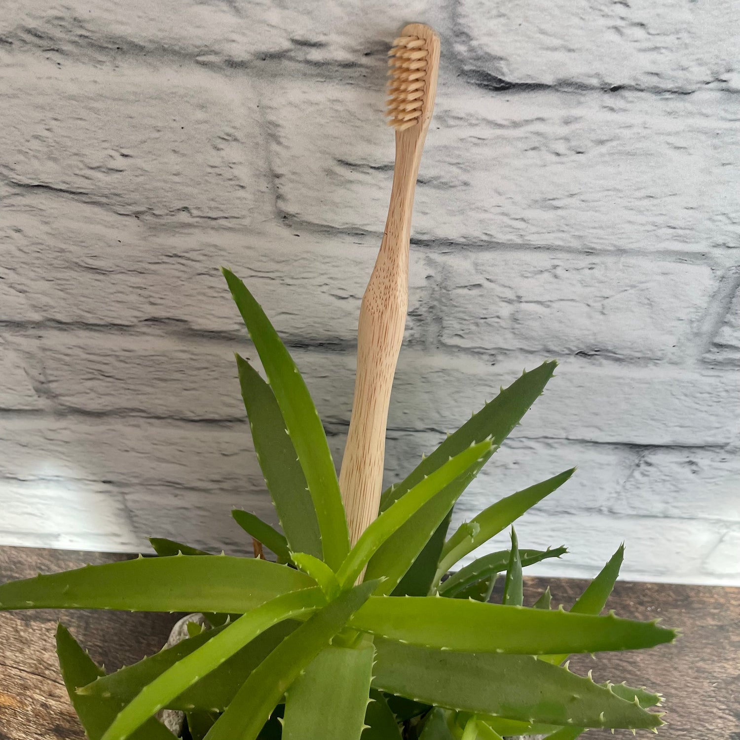 brosse à dent - 100% naturel