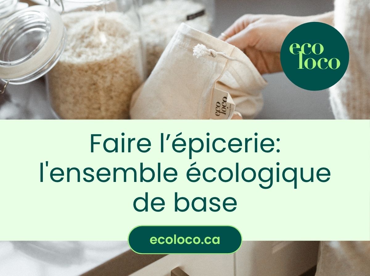 L'ensemble écologique de base pour des courses durables