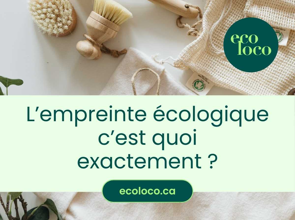 Qu'est-ce que l'empreinte écologique?