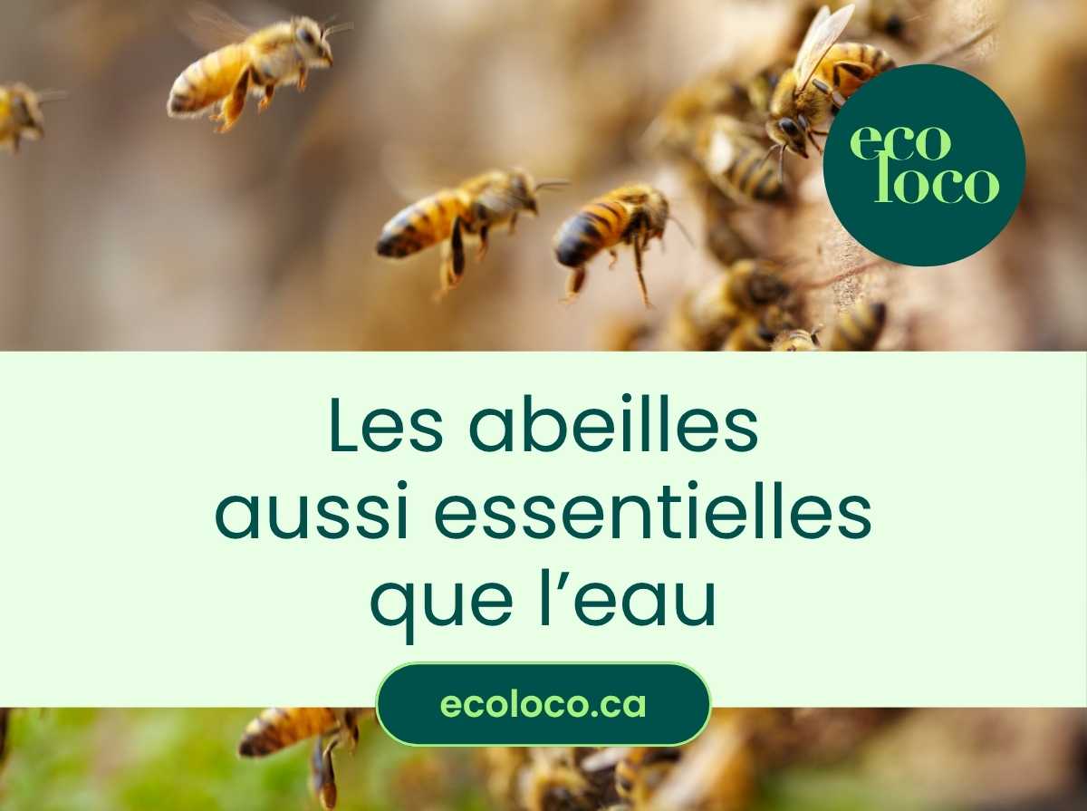 Les abeilles : aussi vitales que l'eau