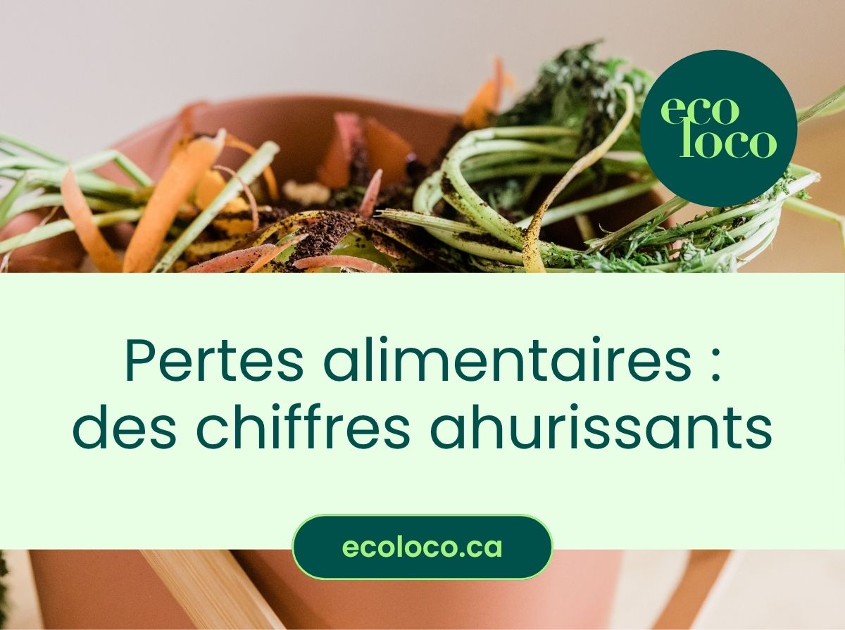 Pertes alimentaires : des chiffres ahurissants, un impact démesuré