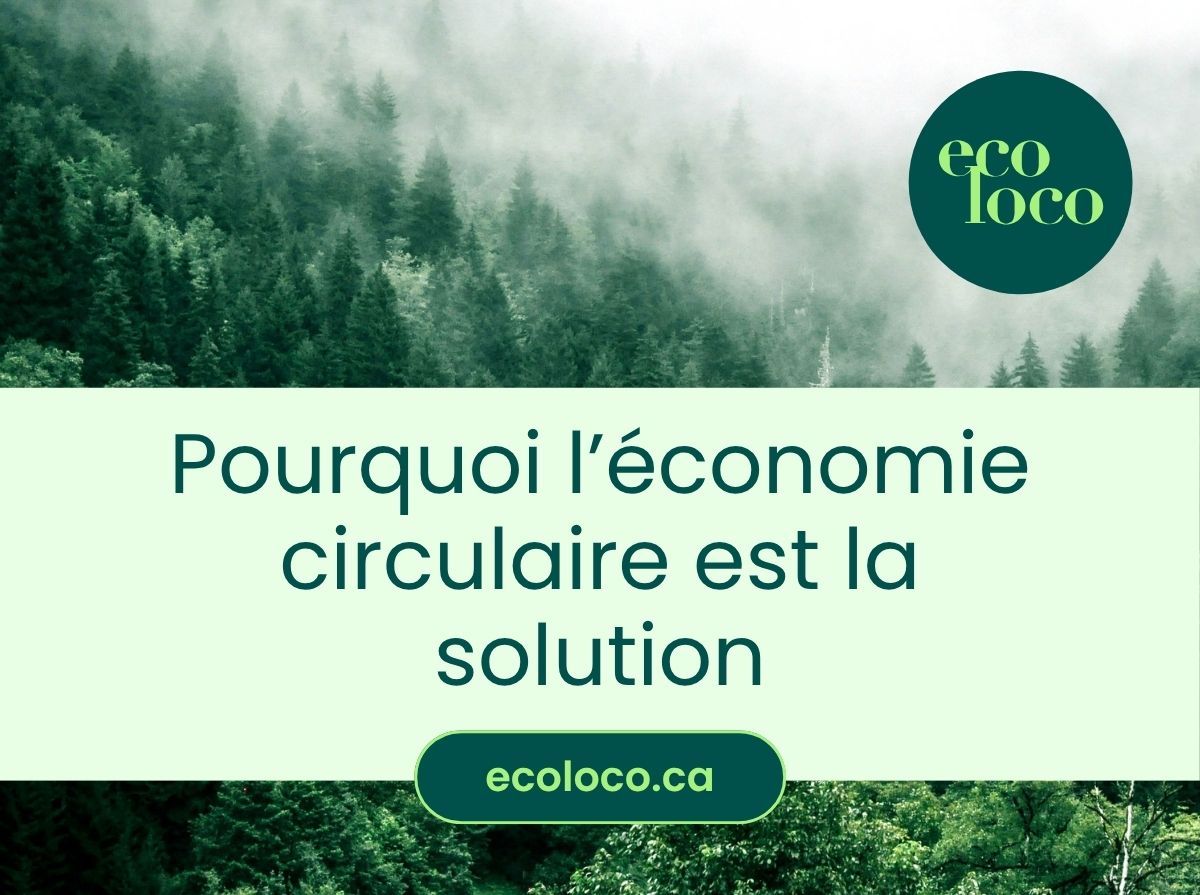 Pourquoi choisir l'économie circulaire?