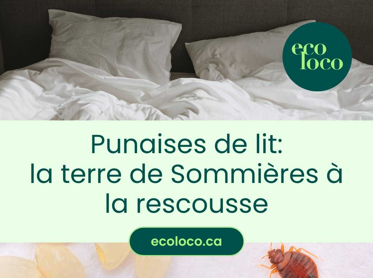 Comment utiliser la terre de Sommières pour les punaises de lit?
