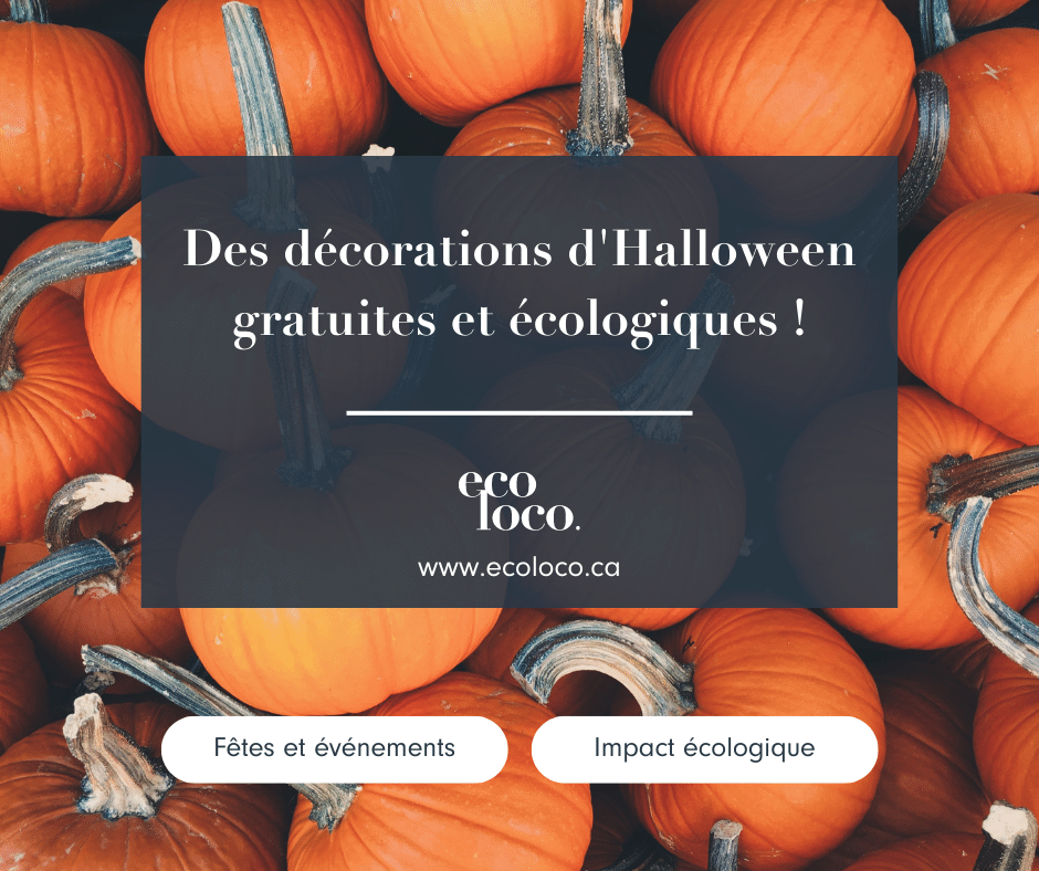 Vous avez probablement tout sous la main pour des décorations d'Halloween gratuites et écologiques!