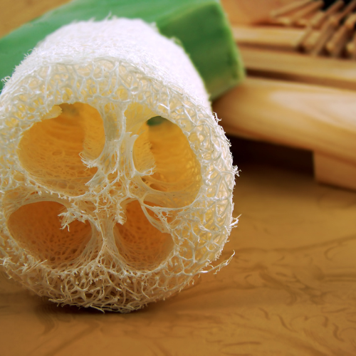 Vegetable sponge luffa – Eco Loco