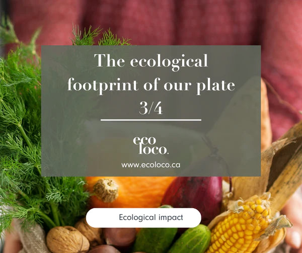 Reducing our ecological footprint on our plates (3/4)