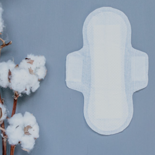 Biodegradable sanitary napkins Eco Loco