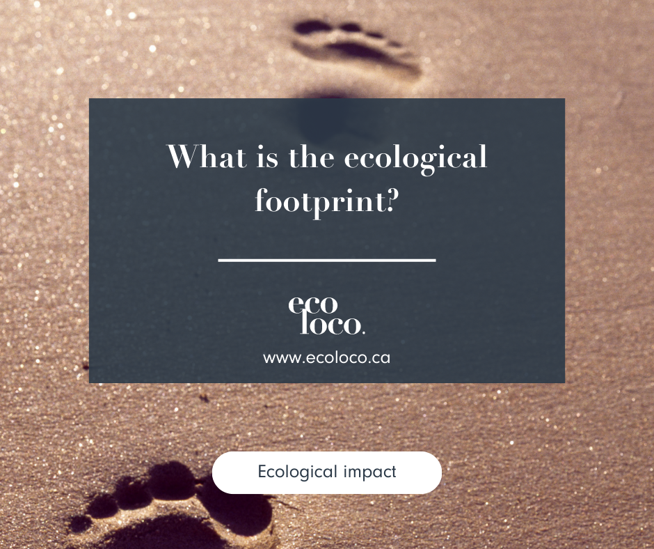 What is the ecological footprint?