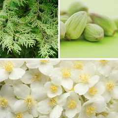 Image représentant les odeurs de cubes de cire au cèdre, à la cardamome et au jasmin. 