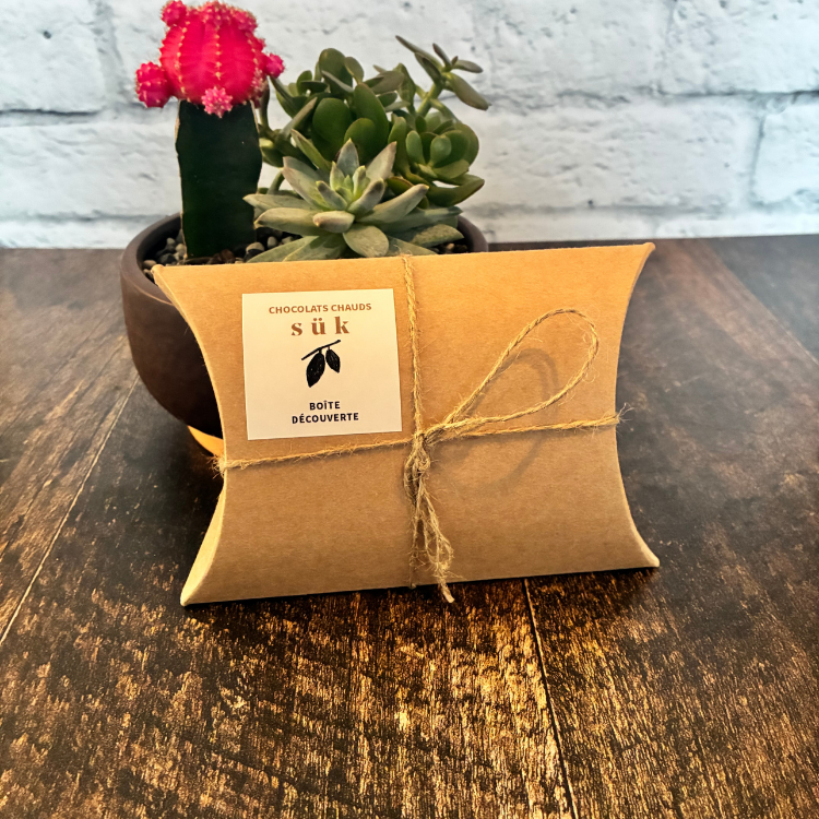 Boite cadeau des chocolats chaud SÜK accotée sur une plante et déposée sur une planche de bois. 