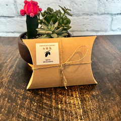 Boite cadeau des chocolats chaud SÜK accotée sur une plante et déposée sur une planche de bois. 