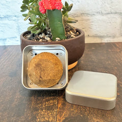Un boitier carré en aluminium et son couvercle comprenant un shampoing solide rond et brun apposé sur un pot de plante succulente avec un fond de bois et de brique. 