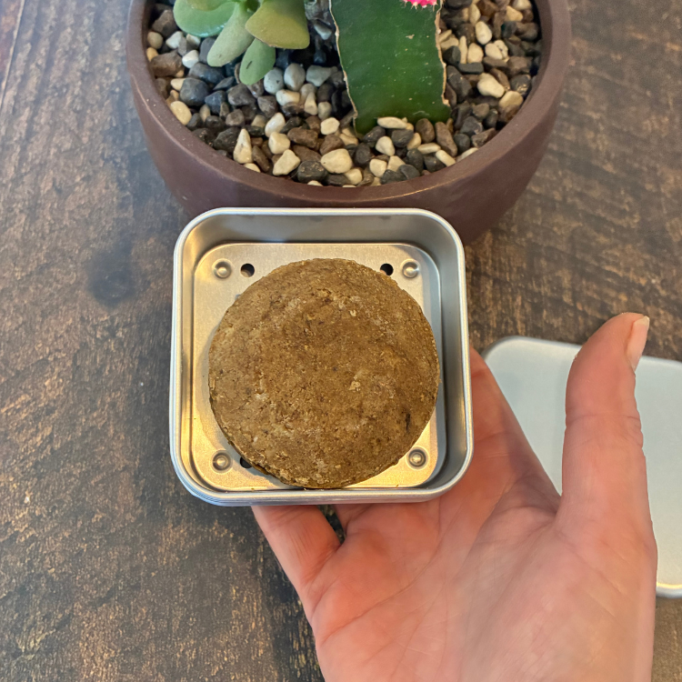Boitier de métal carré en aluminium avec un shampoing solide brun tenu dans une main.  Arrière plan d'une planche en bois et d'une plante succulente. 