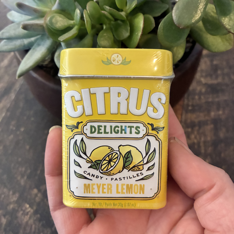 Boitier en métal pour bonbon couleur jaune pour la saveur citron mayer avec une plante en arrière et tenu dans une main