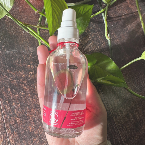 Brime d'ambiance naturelle dans une bouteille vaporisatrice avec une étiquette rouge et au dessus d'une plante