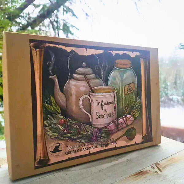 Boîte à Tisanes DLP - Infusions Pour Les Plantes - Dimensions 21x16x7 Cm