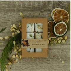 Cubes de cire botanique pour diffuser un parfum doux et réconfortant – coffret cadeau naturel et artisanal