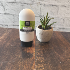 Tube de dentifrice au Xylitol a la saveur de menthe naturel sur une planche à côté d'une petite plante. 