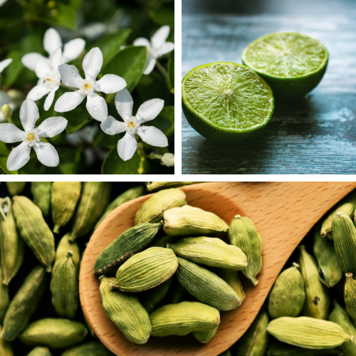 Parfum naturel de maison au jasmin, lime et cardamom 