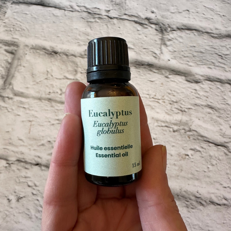 Petite bouteille d'huile essentielle d'eucalyptus globulus tenue dans une main