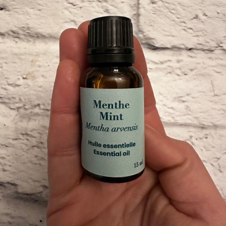Flacon de 15 ml d'huile essentielle de menthe tenu dans une main au dessus de la brique blanche