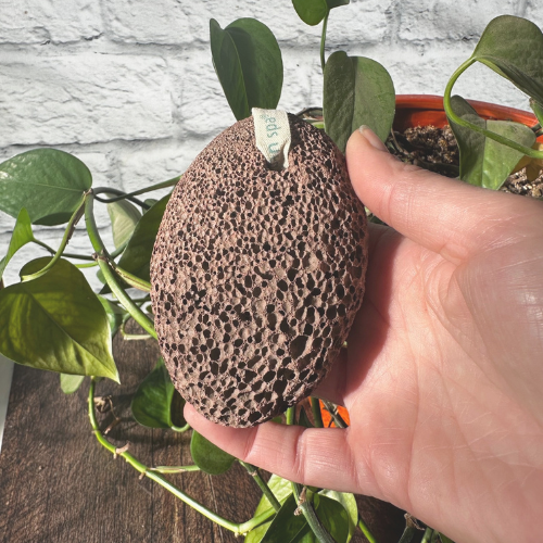 Pierre ponce naturelle brune tenue dans une main avec un arrière plan de plante , de brique et de bois