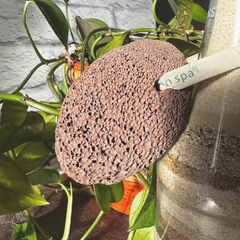 Pierre ponce naturelle brune accroché sur une bouteille remplie de sable et avec un arrière plan d'une plante