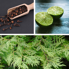 Pot-pourri naturel à faire mijoter,  maison parfumée, festive et chaleureuse avec ingrédients 100 % végétaux